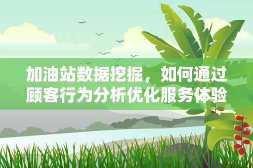加油站数据挖掘，如何通过顾客行为分析优化服务体验？