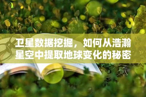 卫星数据挖掘，如何从浩瀚星空中提取地球变化的秘密?