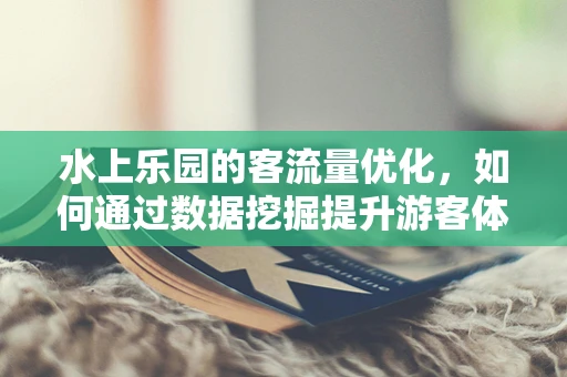 水上乐园的客流量优化，如何通过数据挖掘提升游客体验？