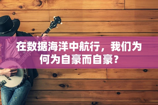 在数据海洋中航行，我们为何为自豪而自豪？