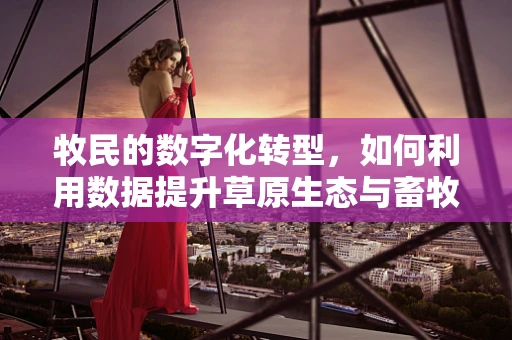 牧民的数字化转型，如何利用数据提升草原生态与畜牧业效率？