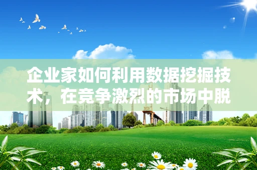 企业家如何利用数据挖掘技术，在竞争激烈的市场中脱颖而出？