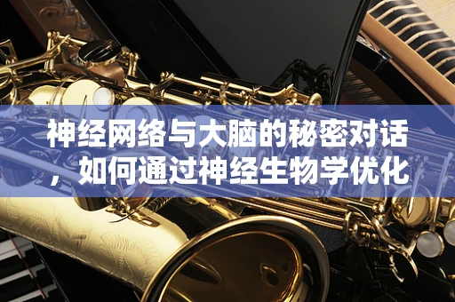 神经网络与大脑的秘密对话，如何通过神经生物学优化数据挖掘算法？