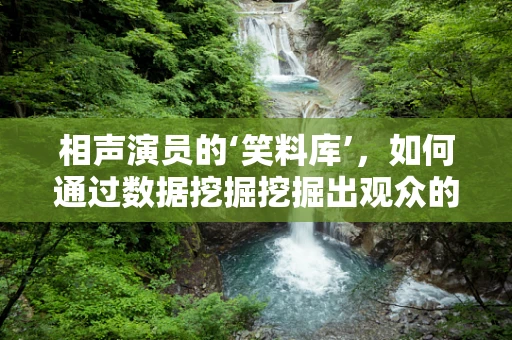 相声演员的‘笑料库’，如何通过数据挖掘挖掘出观众的笑点？