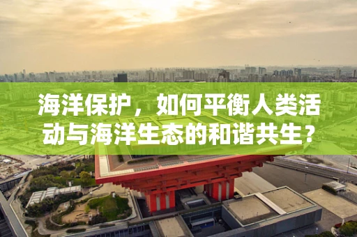 海洋保护，如何平衡人类活动与海洋生态的和谐共生？