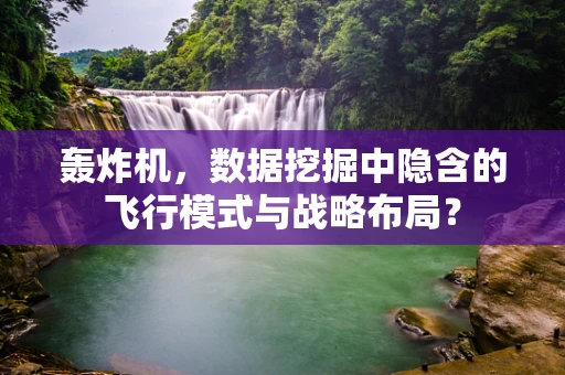 轰炸机，数据挖掘中隐含的飞行模式与战略布局？