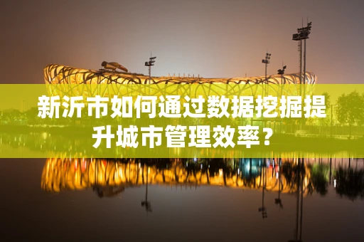 新沂市如何通过数据挖掘提升城市管理效率？