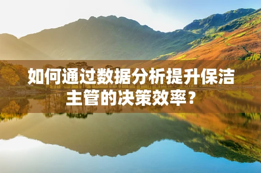 如何通过数据分析提升保洁主管的决策效率？