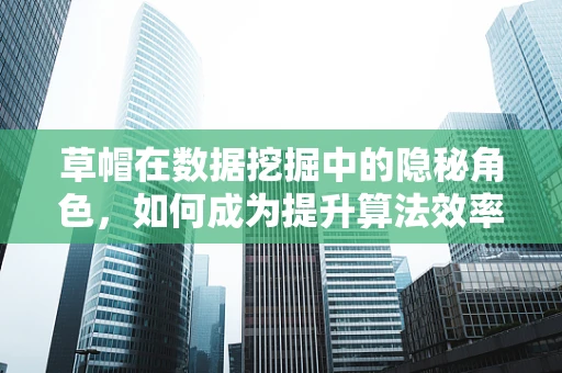 草帽在数据挖掘中的隐秘角色，如何成为提升算法效率的‘秘密武器’？