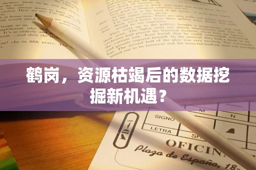鹤岗，资源枯竭后的数据挖掘新机遇？