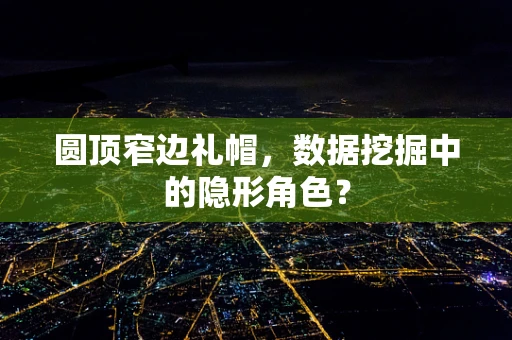 圆顶窄边礼帽，数据挖掘中的隐形角色？