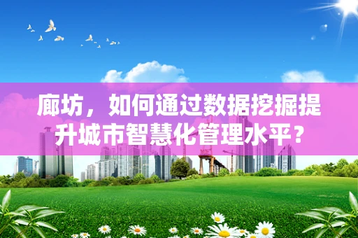 廊坊，如何通过数据挖掘提升城市智慧化管理水平？