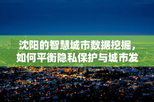 沈阳的智慧城市数据挖掘，如何平衡隐私保护与城市发展？