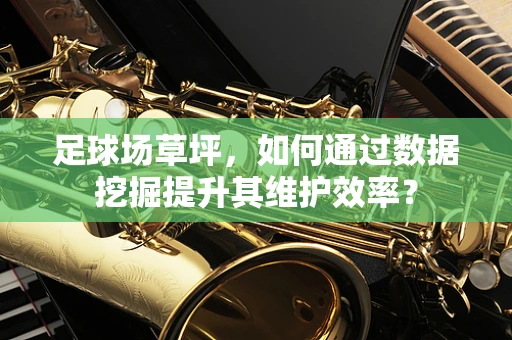 足球场草坪，如何通过数据挖掘提升其维护效率？