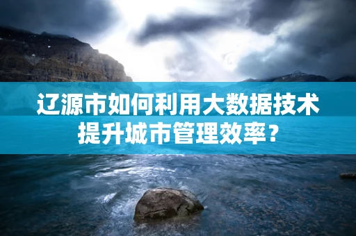 辽源市如何利用大数据技术提升城市管理效率？