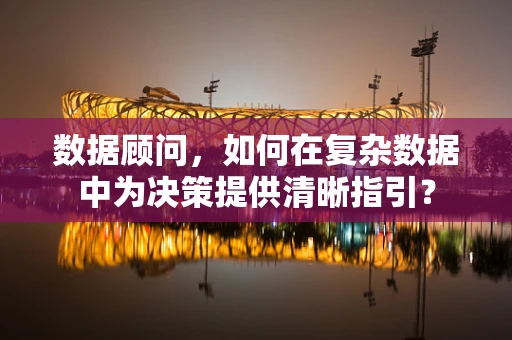 数据顾问，如何在复杂数据中为决策提供清晰指引？