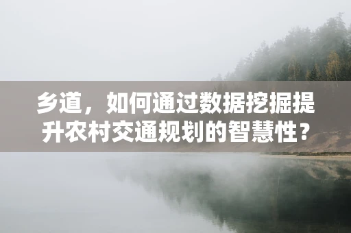 乡道，如何通过数据挖掘提升农村交通规划的智慧性？