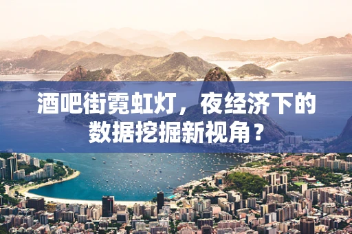酒吧街霓虹灯，夜经济下的数据挖掘新视角？