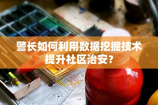 警长如何利用数据挖掘技术提升社区治安？