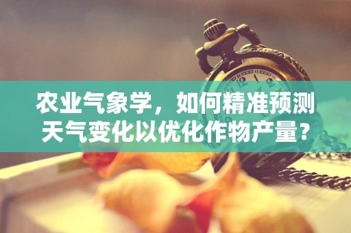 农业气象学，如何精准预测天气变化以优化作物产量？