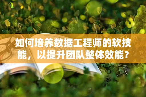 如何培养数据工程师的软技能，以提升团队整体效能？