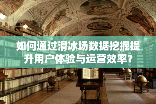 如何通过滑冰场数据挖掘提升用户体验与运营效率？