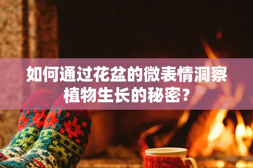 如何通过花盆的微表情洞察植物生长的秘密？