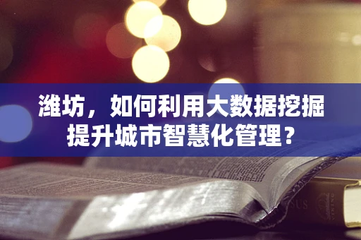 潍坊，如何利用大数据挖掘提升城市智慧化管理？