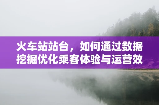 火车站站台，如何通过数据挖掘优化乘客体验与运营效率？