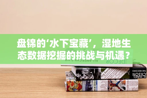 盘锦的‘水下宝藏’，湿地生态数据挖掘的挑战与机遇？