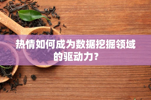热情如何成为数据挖掘领域的驱动力？