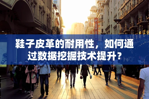 鞋子皮革的耐用性，如何通过数据挖掘技术提升？