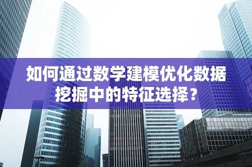 如何通过数学建模优化数据挖掘中的特征选择？