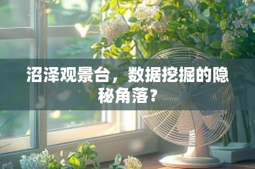 沼泽观景台，数据挖掘的隐秘角落？