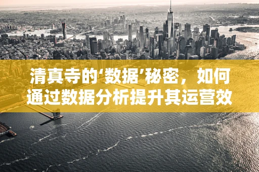 清真寺的‘数据’秘密，如何通过数据分析提升其运营效率？
