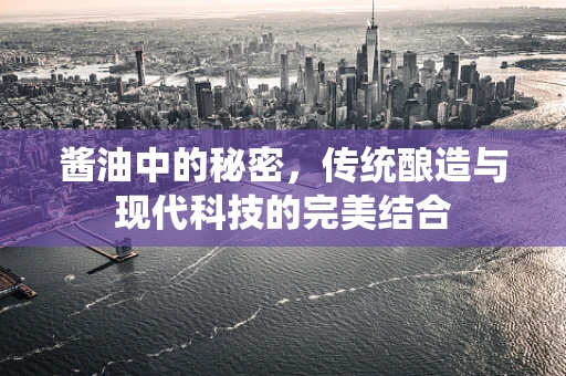酱油中的秘密，传统酿造与现代科技的完美结合