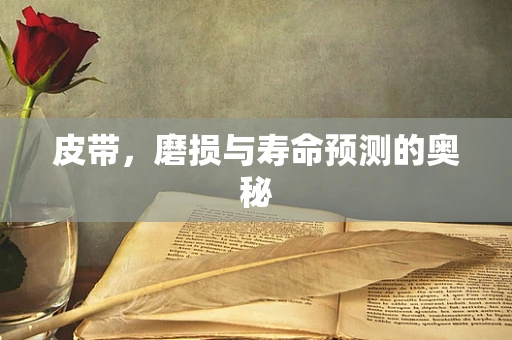 皮带，磨损与寿命预测的奥秘