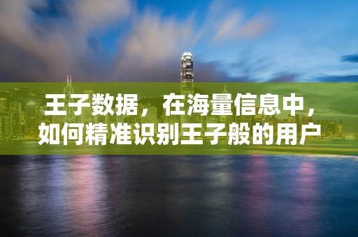 王子数据，在海量信息中，如何精准识别王子般的用户特征？