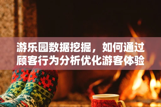游乐园数据挖掘，如何通过顾客行为分析优化游客体验？
