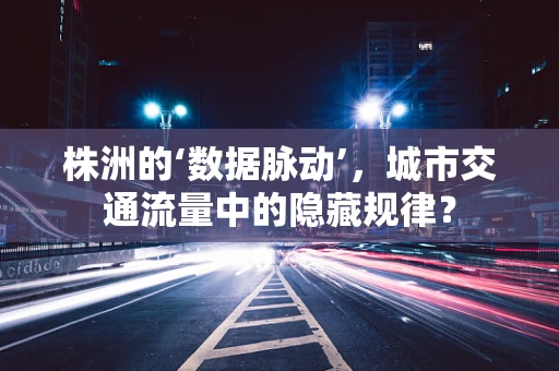 株洲的‘数据脉动’，城市交通流量中的隐藏规律？