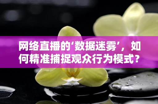 网络直播的‘数据迷雾’，如何精准捕捉观众行为模式？