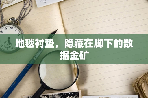 地毯衬垫，隐藏在脚下的数据金矿