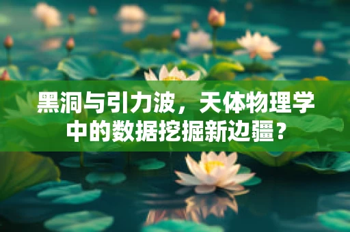 黑洞与引力波，天体物理学中的数据挖掘新边疆？
