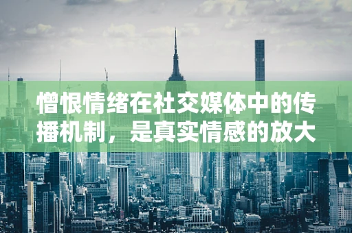 憎恨情绪在社交媒体中的传播机制，是真实情感的放大镜，还是网络谣言的催化剂？