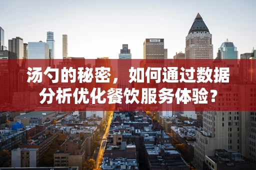 汤勺的秘密，如何通过数据分析优化餐饮服务体验？