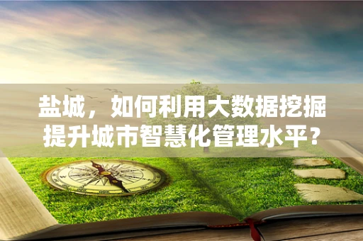 盐城，如何利用大数据挖掘提升城市智慧化管理水平？