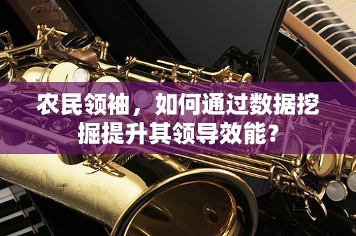 农民领袖，如何通过数据挖掘提升其领导效能？