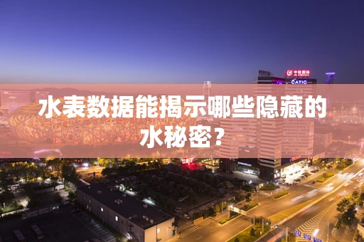 水表数据能揭示哪些隐藏的水秘密？