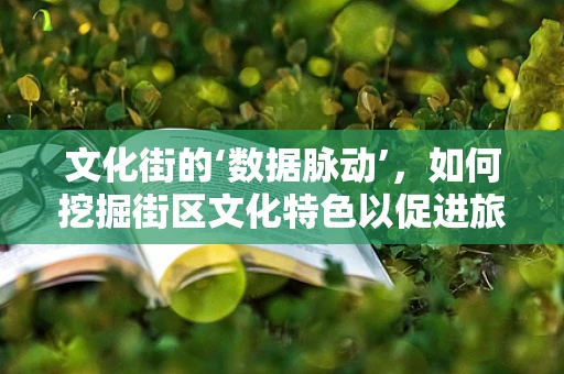 文化街的‘数据脉动’，如何挖掘街区文化特色以促进旅游发展？