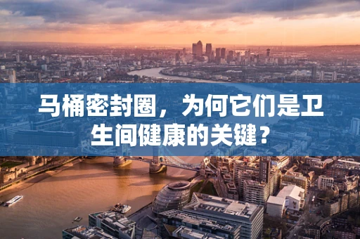 马桶密封圈，为何它们是卫生间健康的关键？